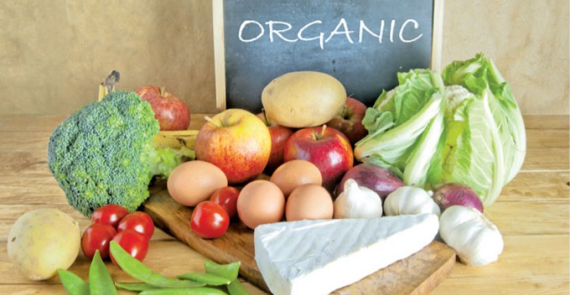 Мировой рынок органических продуктов питания